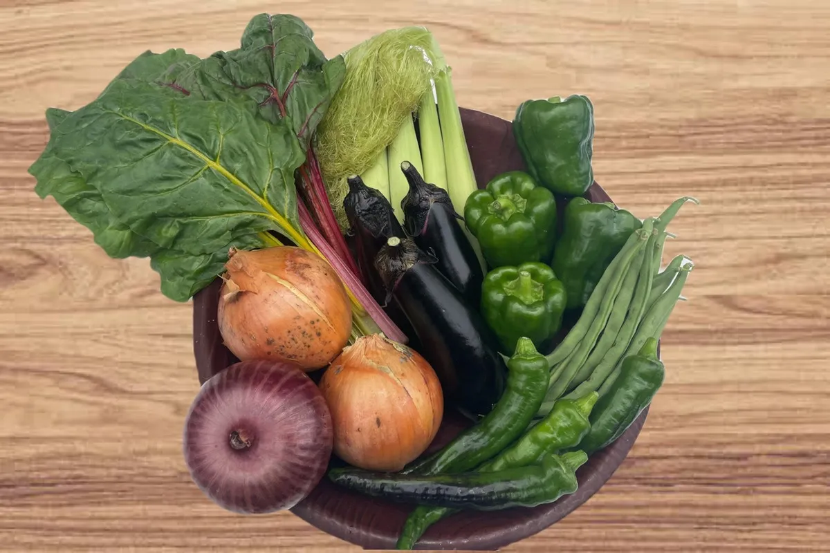 美(うま)ベジパック 単品M